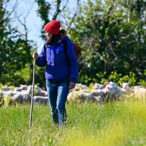 Macadam Mouton Lili bergère la Rochelle